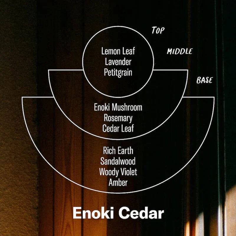 P. F. Candle Co. Enoki Cedar Incense Cones