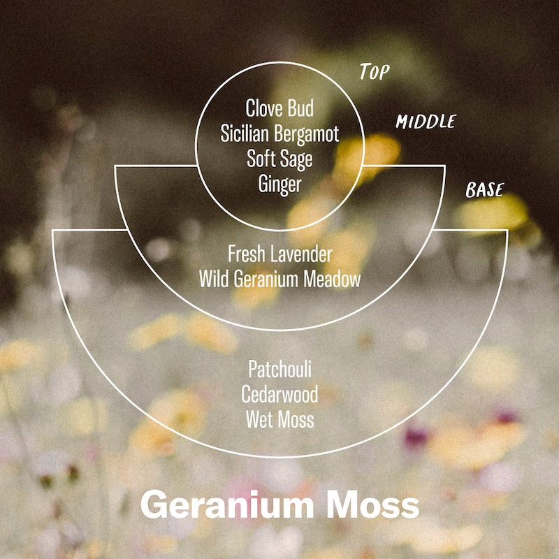 P. F. Candle Co. Geranium Moss Incense Cones