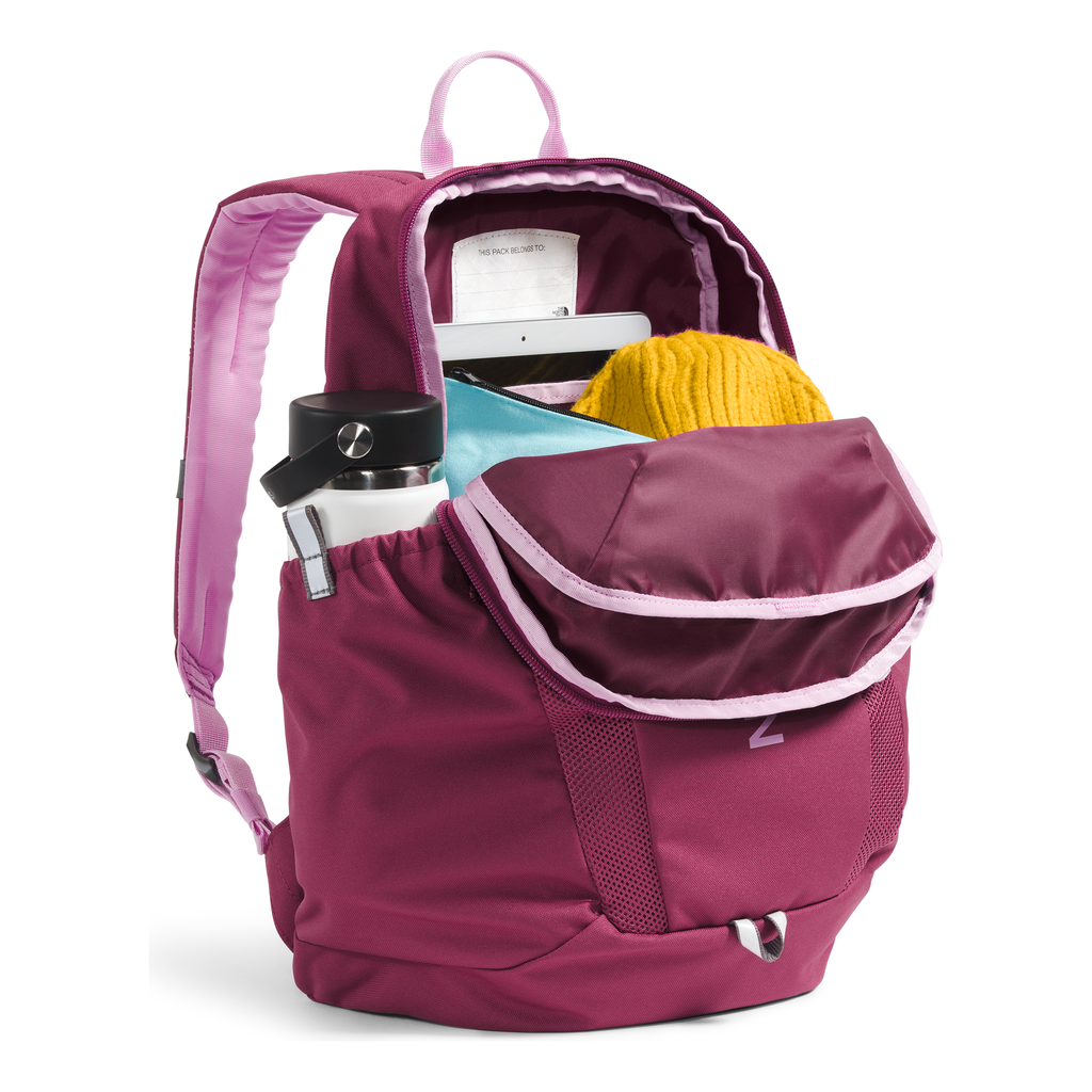 The North Face Youth Mini Recon Backpack